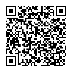 💖阿P精選💖觀音雙面路丁建-QR CODE