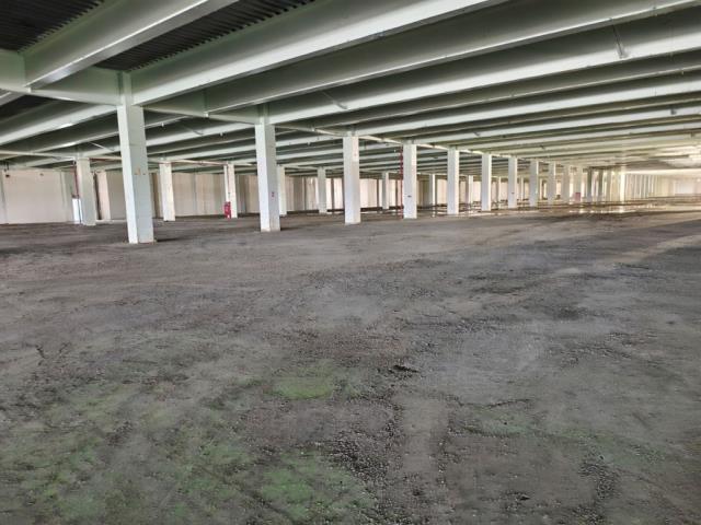 桃園觀音廠房-1